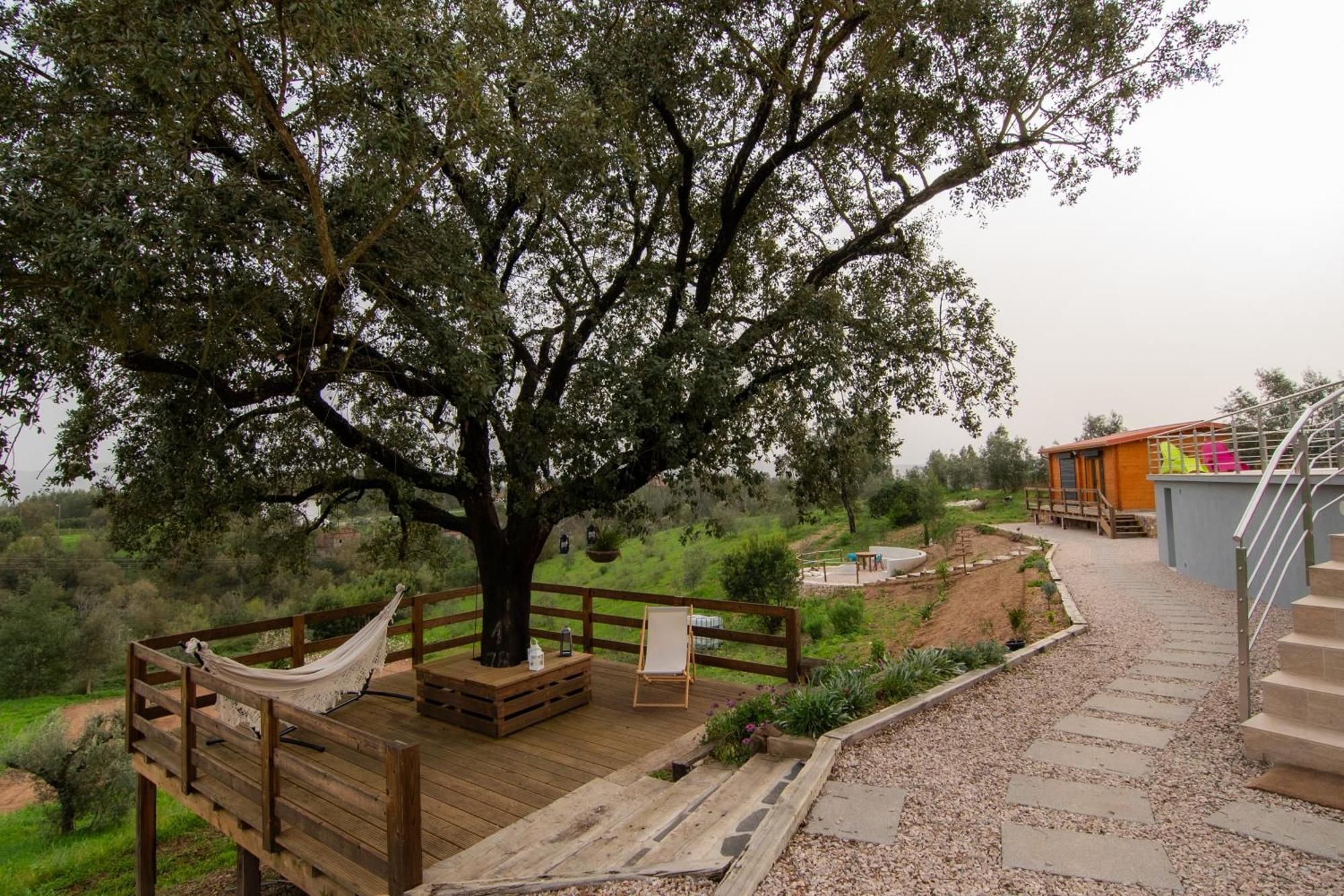 Quinta Do Esteval Penacova Ngoại thất bức ảnh