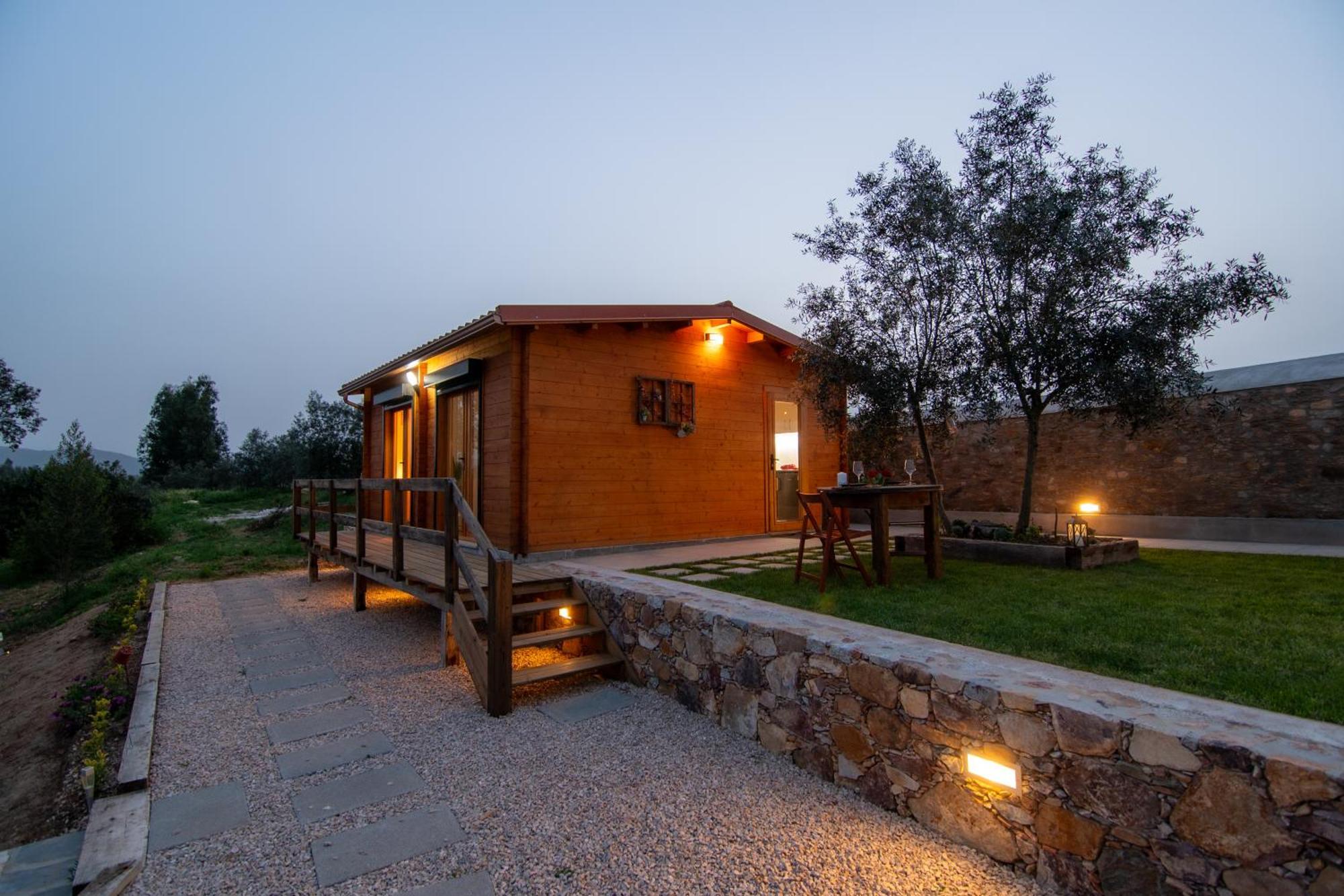 Quinta Do Esteval Penacova Ngoại thất bức ảnh